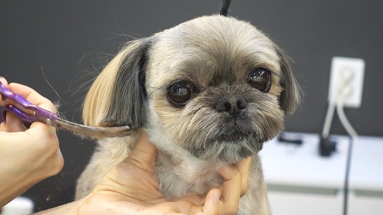 Твои глаза красивые.