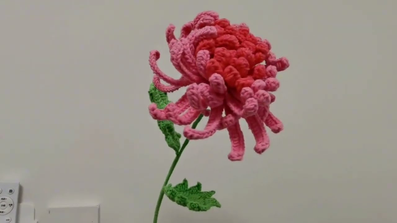 Crochet Chrysanthemum Flower  Complete Tutorial EP#2