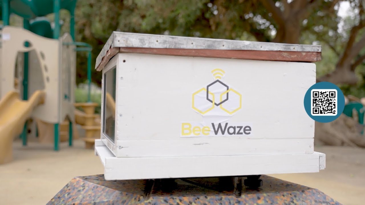 Beewaze: tecnología chilena para el monitoreo de abejas