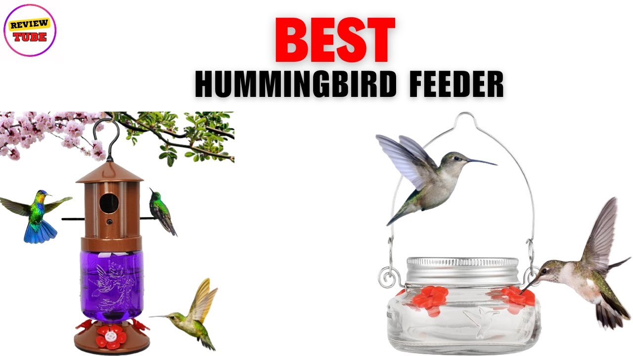 Best Hummingbird Feeder 2024 | Top5 Best Hummingbird Feeder  On Amazon