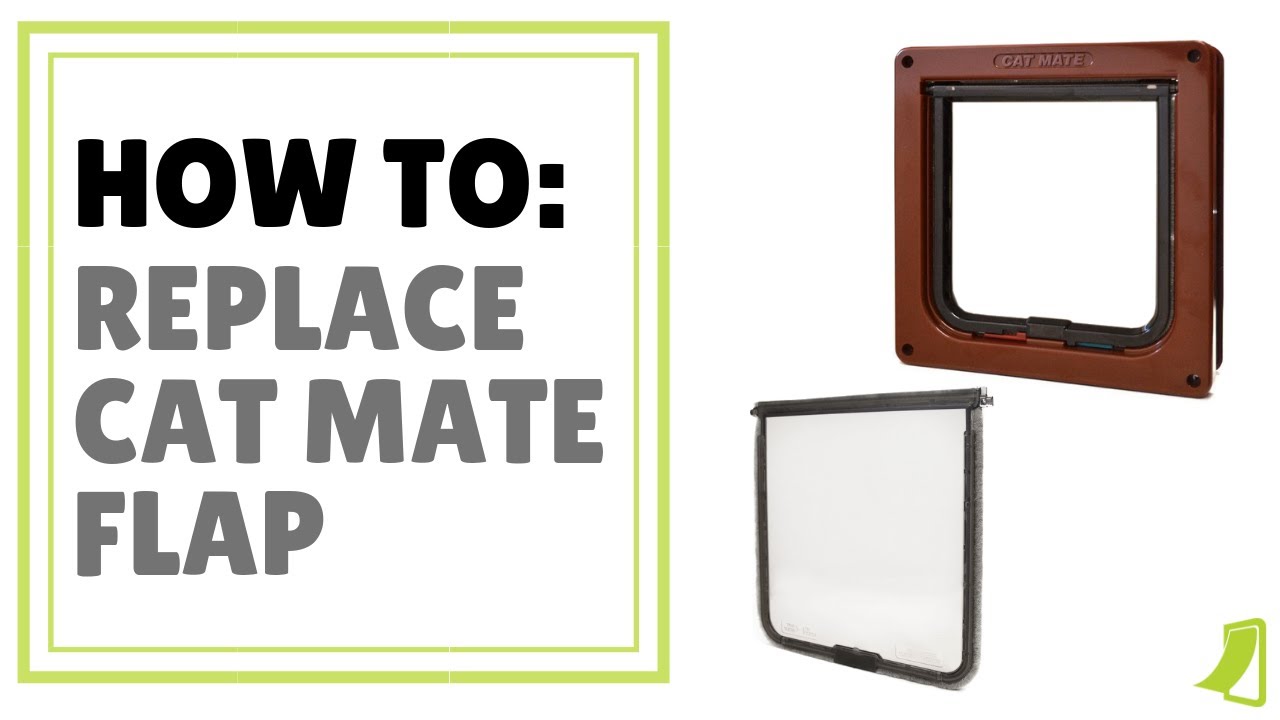 HOW TO: Replace Cat Mate Flap