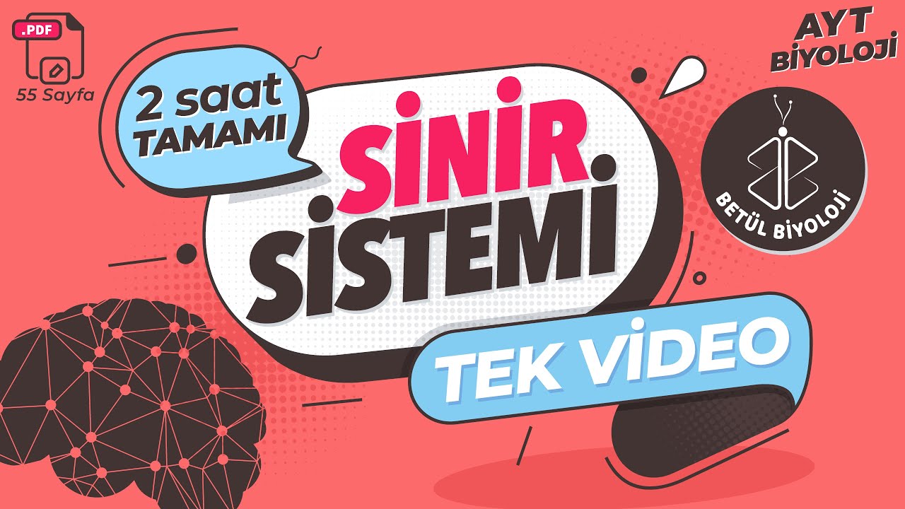 Sinir Sistemi Tekrar | TAMAMI TEK VİDEO | AYT Biyoloji Konu Anlatımı