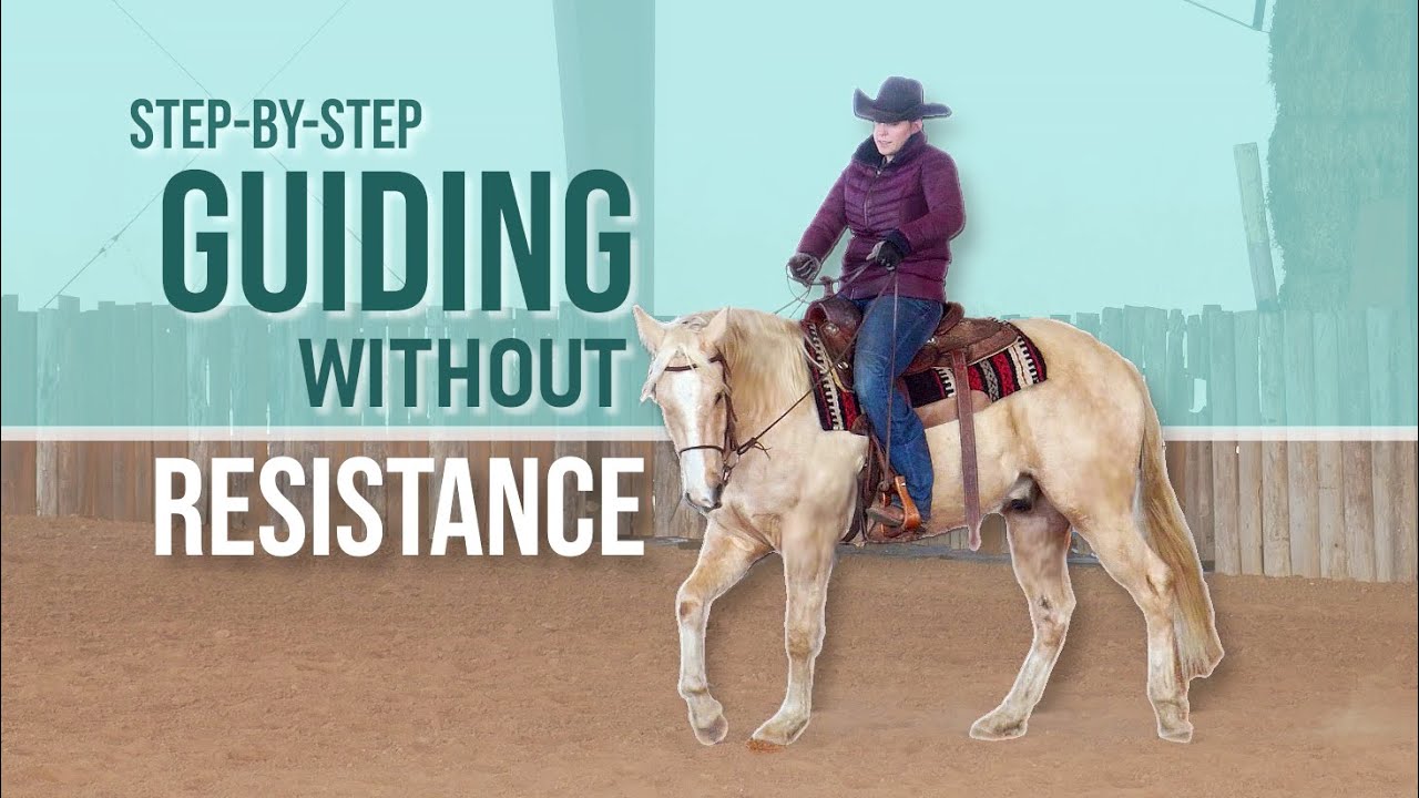 How neck-reining starts! Teach your horse to STEER easily