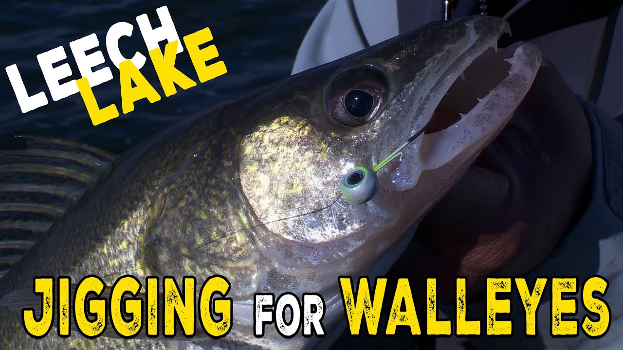 How to catch walleyes on Leech Lake