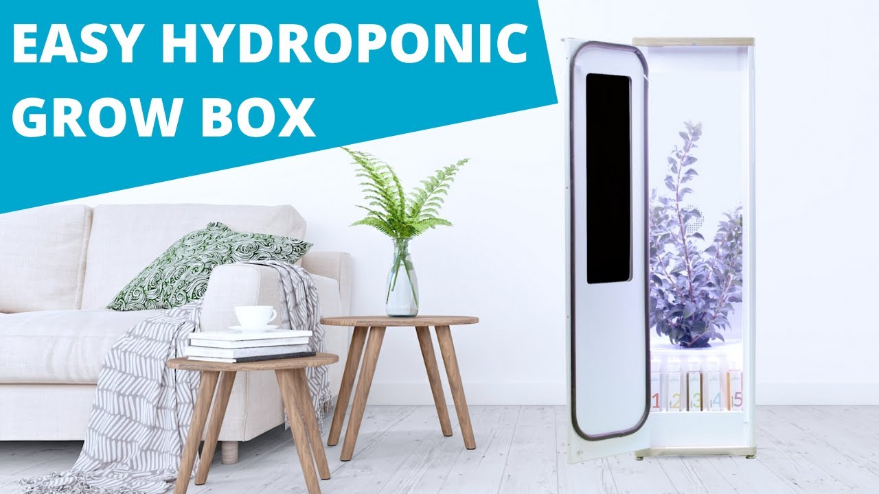 Grow Cannabis the easy way | Grobo Premium Grow Box [2020]