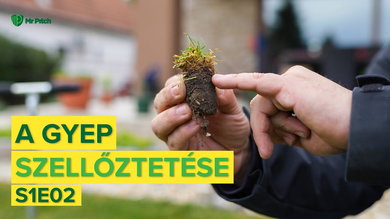 A GYEPszellőztetés TITKAI 🤫🌱