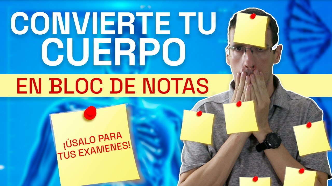 Cómo usar el Palacio de la Memoria CORPORAL para MEMORIZAR MÁS RÁPIDO [Técnicas de Estudio]