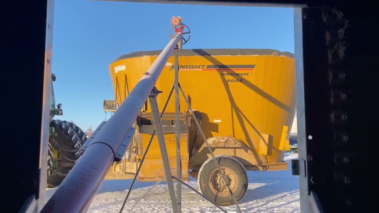 Chores, Calving and Cold Weather Continues