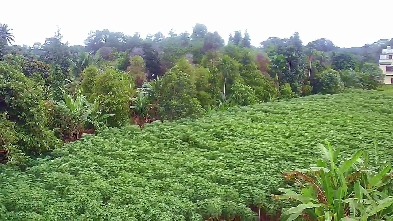 Pilot pemula,, perdana nerbangin drone 