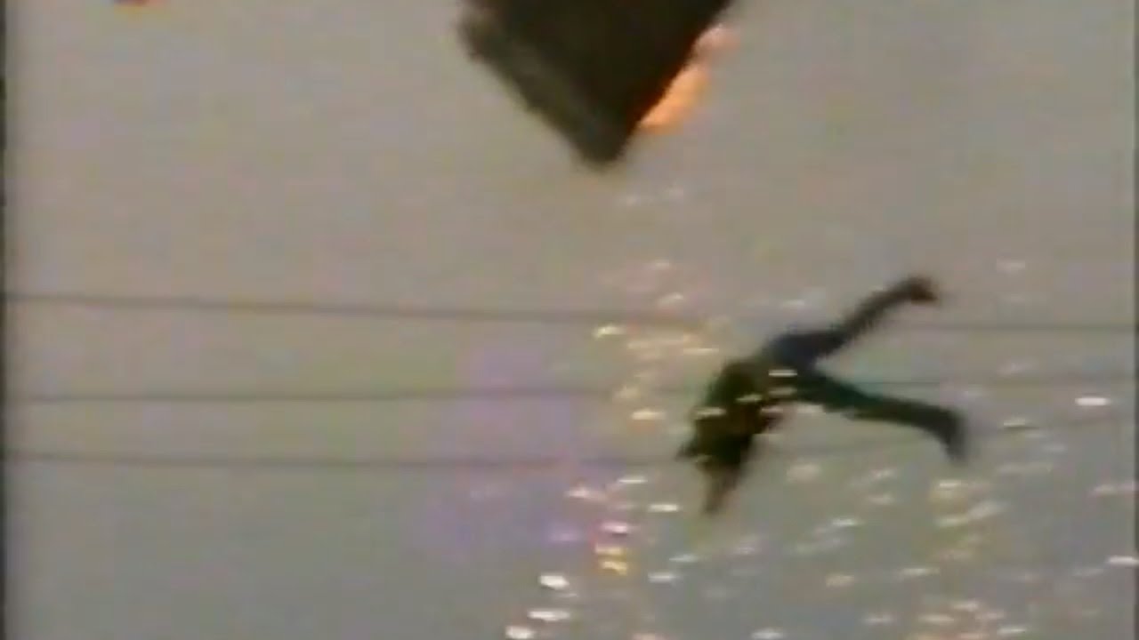 Unfall mit Heißluftballon Saalburg 11.08.2001 TEAG 20 kV Freileitung