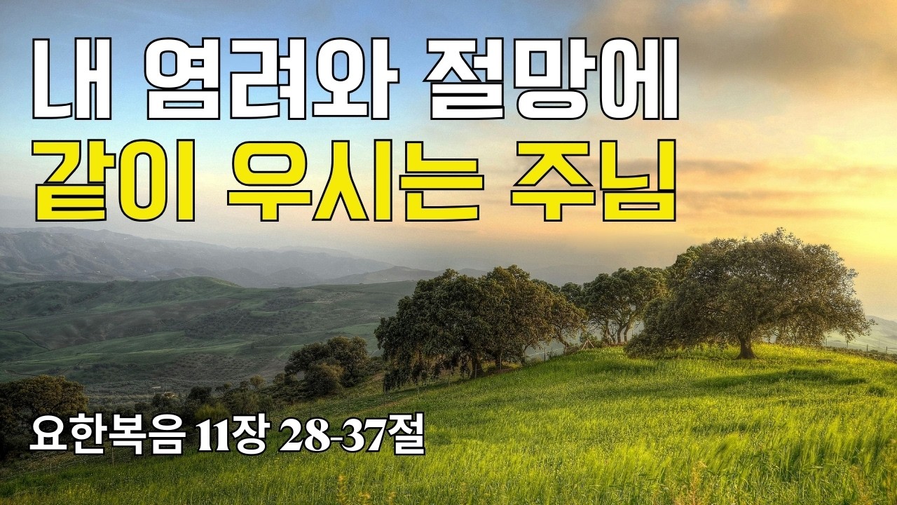 [ 매일성경 브런치 ] 요한복음 11장 28-37절(20260308)｜내 염려와 절망에 같이 우시는 주님｜큐티｜예배