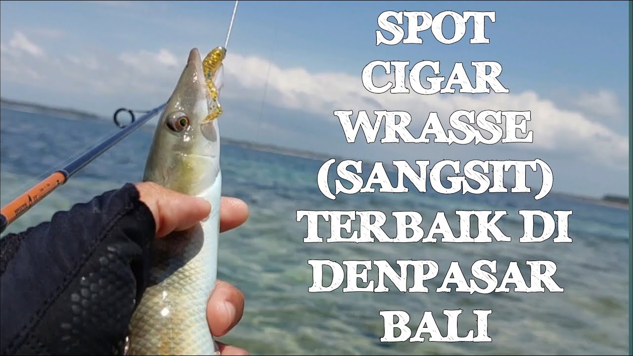 Titik Spot mancing ikan sangsit di pantai sanur bali. Auto ngomset | BCK 010