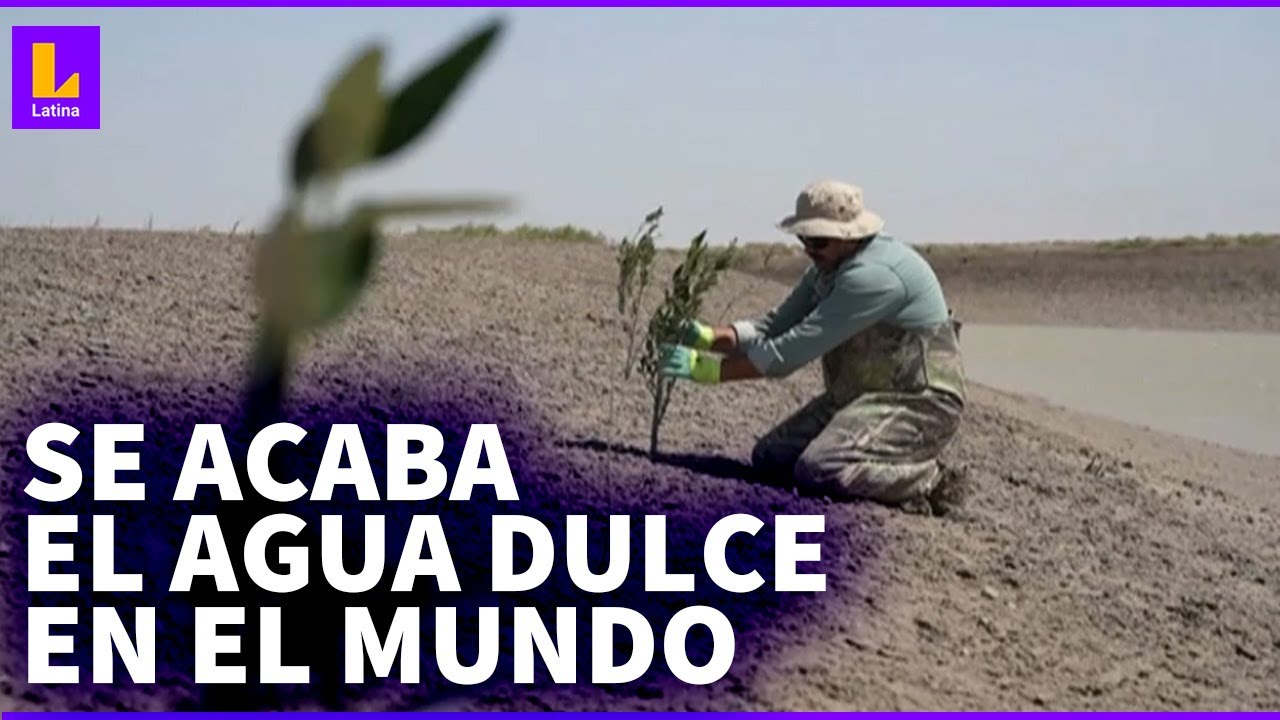 Sequías por todo el mundo: Estos 12 países tienen escasez de agua