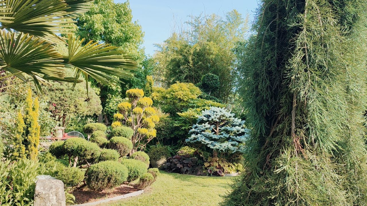 Le Jardin de Patricia et François à St Piat ! Magnifique jardin privé ! 🥰👍☀️