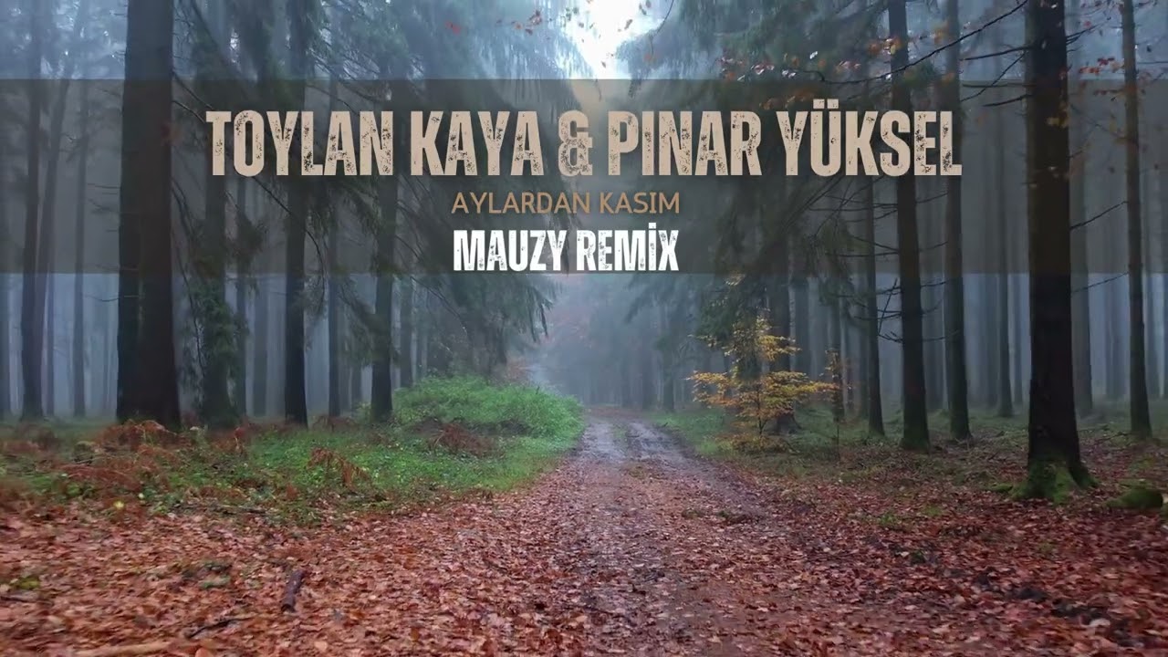 Toylan Kaya & Pınar Yüksel-Aylardan Kasım(Mauzy Remix)