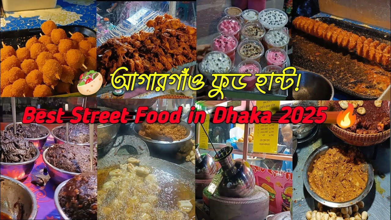 Agargaon Evening Street Food Vlog | Dhaka Street Food Tour 2025