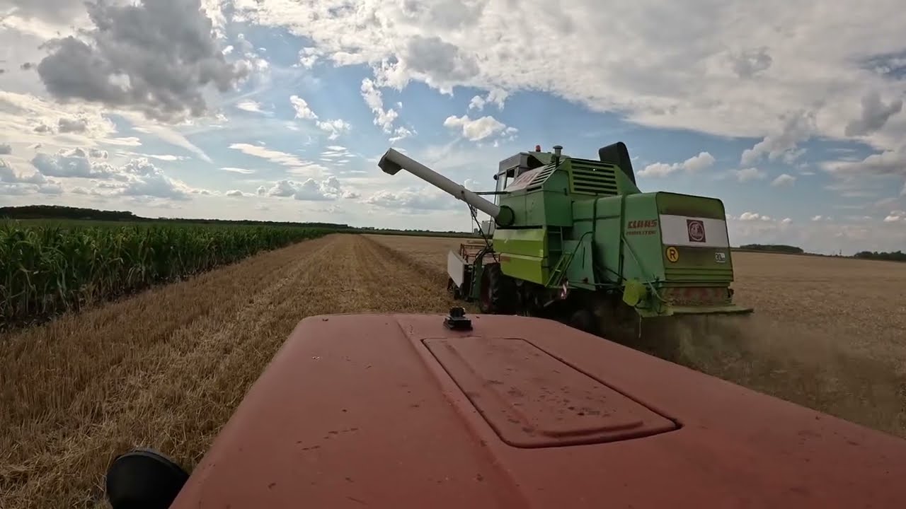 Búza aratás Claas Protectorral 2025-Ben /részlet/#farmlife #familyvlog #claas #agriculture