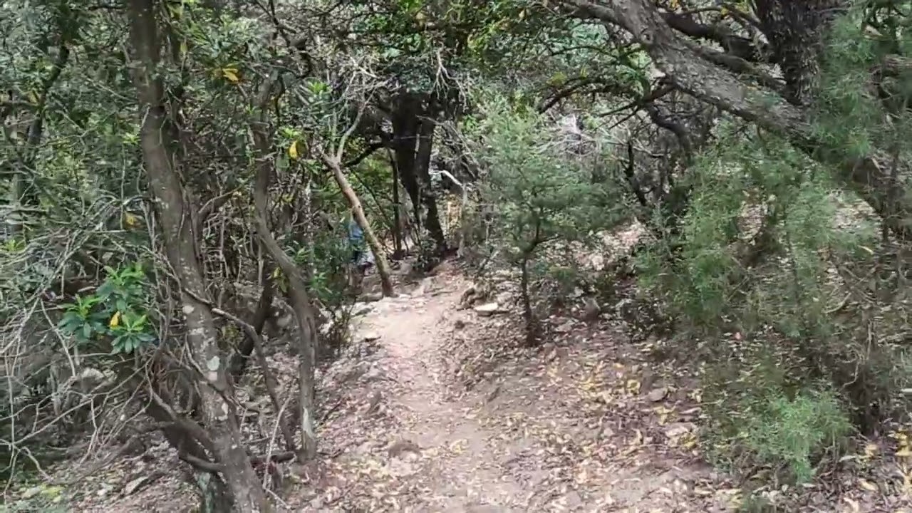 Parco Naturale Regionale di Gutturu Mannu : Oasi del Cervo e della Luna