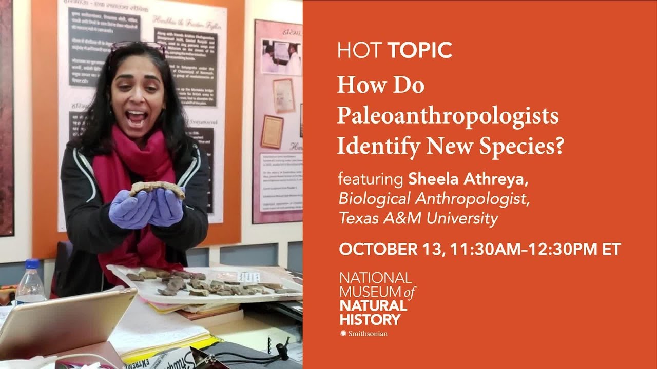 HOT (Human Origins Today) Topic: How Do Paleoanthropologists Identify New Species?