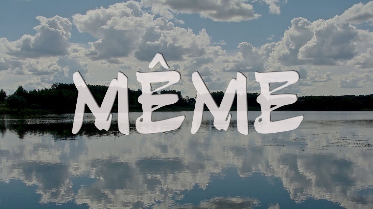 M&Ecirc;ME : m&ecirc;me mot, plusieurs natures, diff&eacute;rentes orthographes.