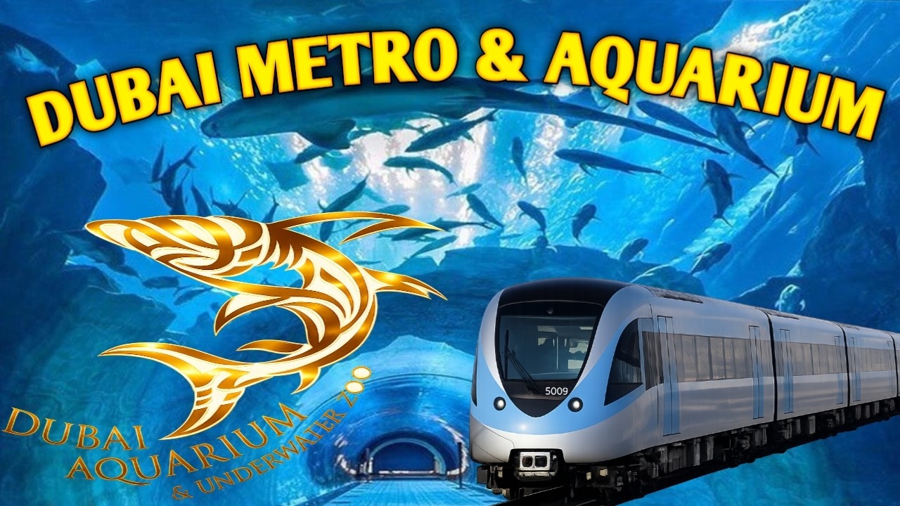 EXPERIENCE IN DUBAI METRO AND DUBAI AQUARIUM & UNDERWATER ZOO