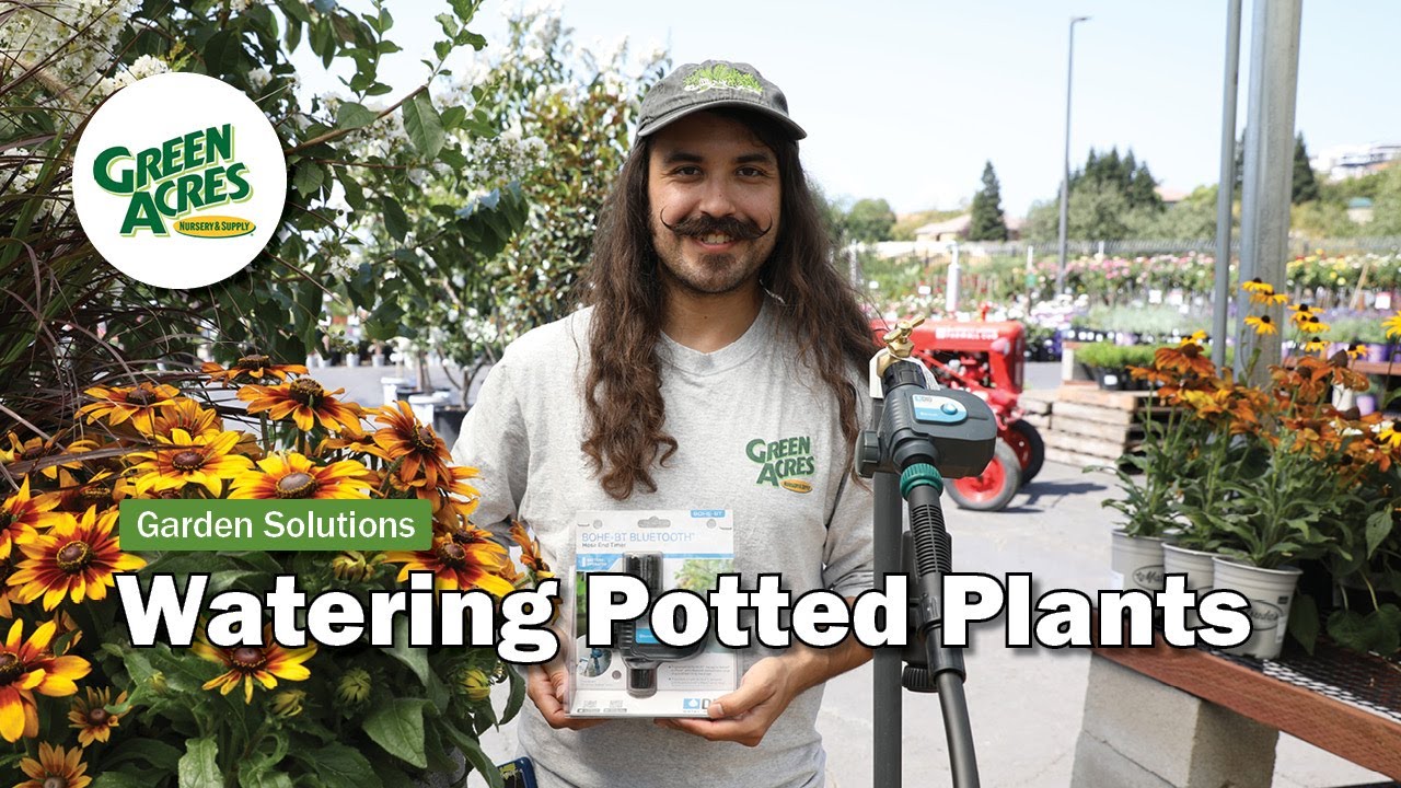How to Water Potted Plants with Drip Irrigation