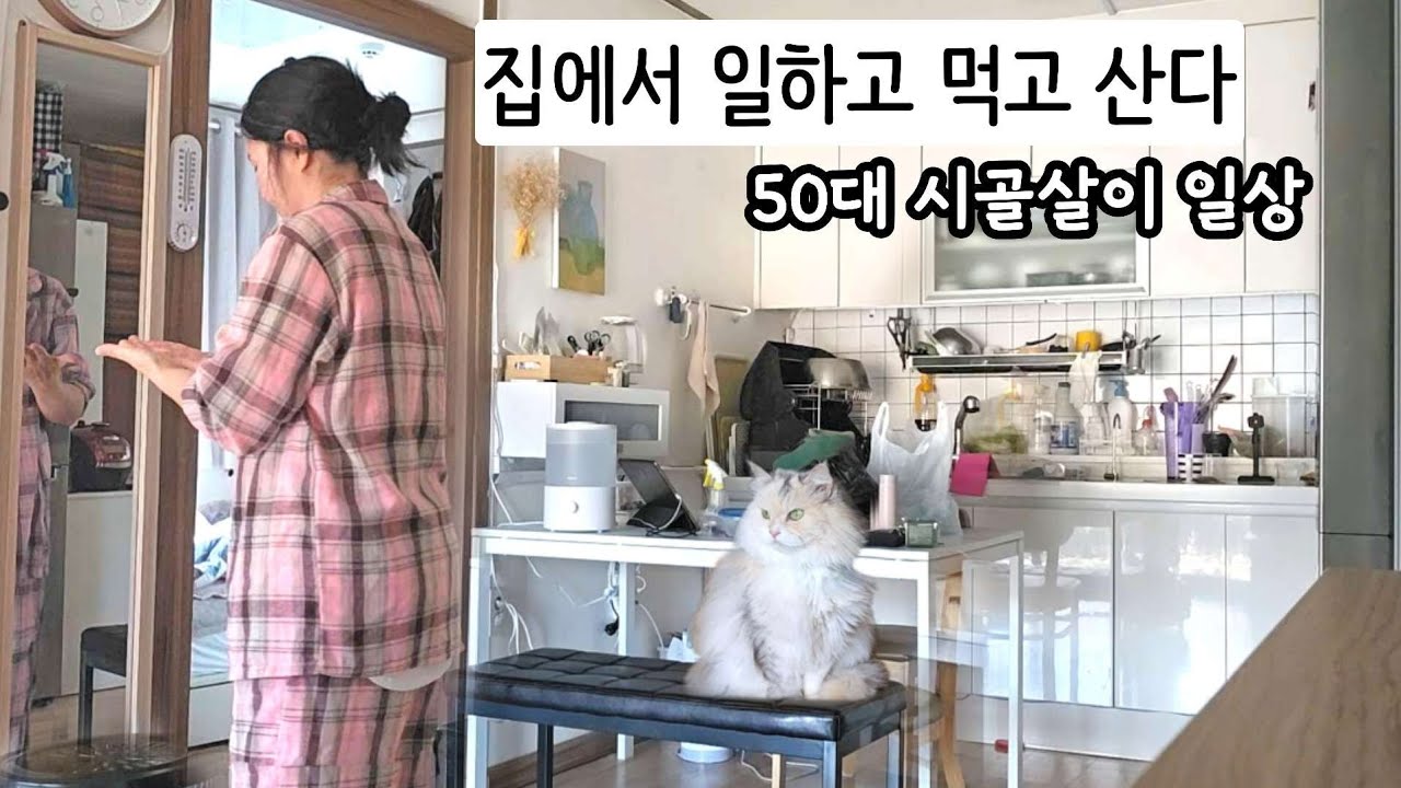 (1인가구) 평온하고 조용해서 만족하고 산다 / 아들독립후 첫방문 /연휴없는 삶