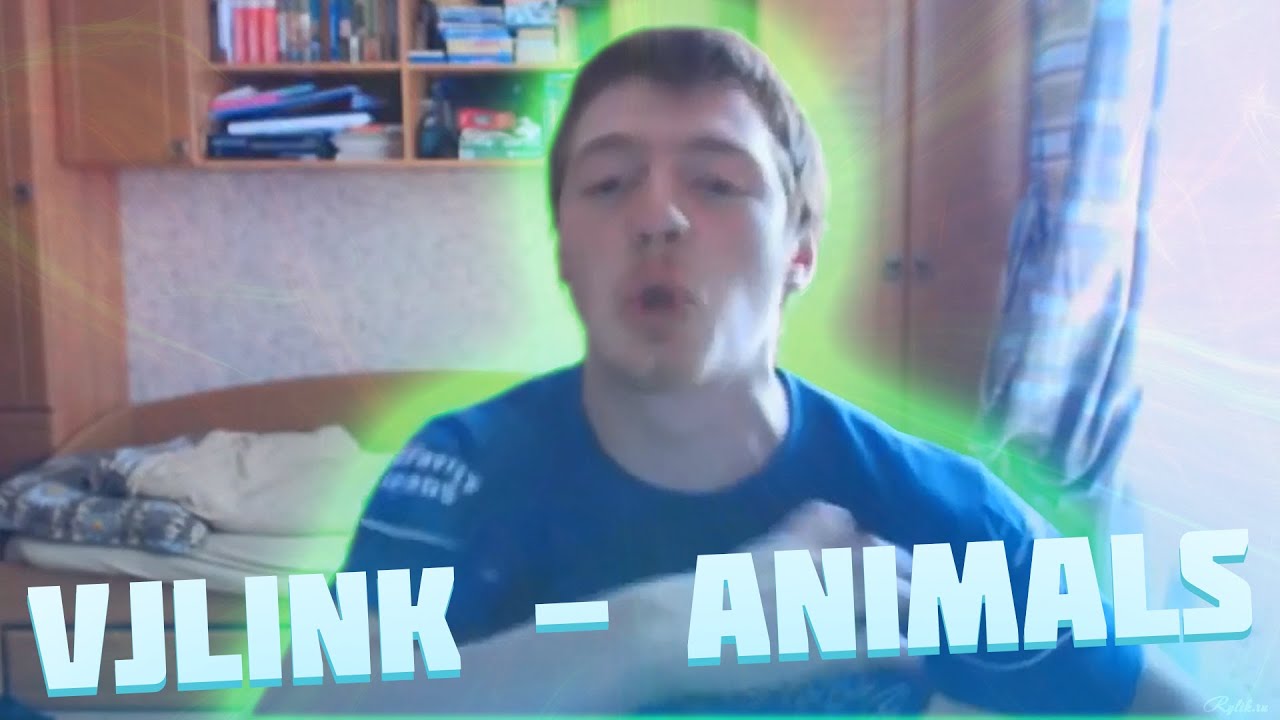 VJLink - Animals (REMIX MMV)