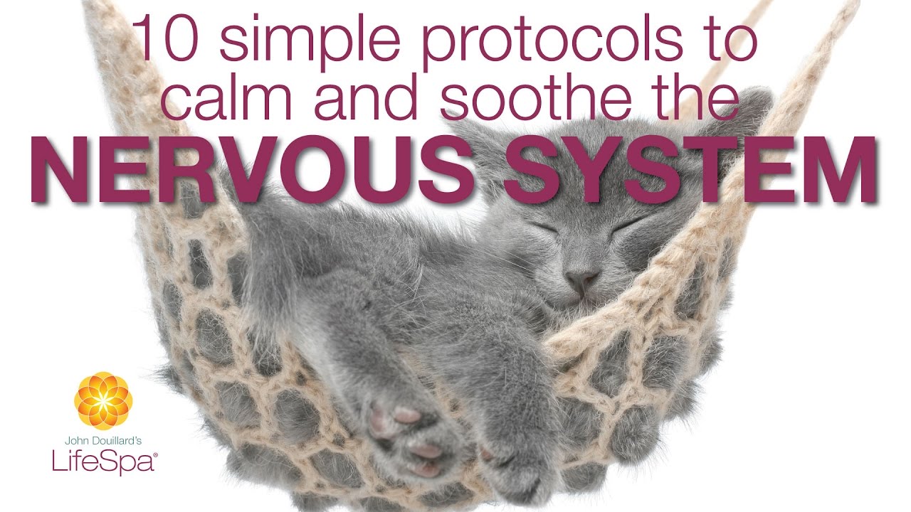 10 Simple Protocols to Calm and Soothe the Nervous System | John Douillard's LifeSpa