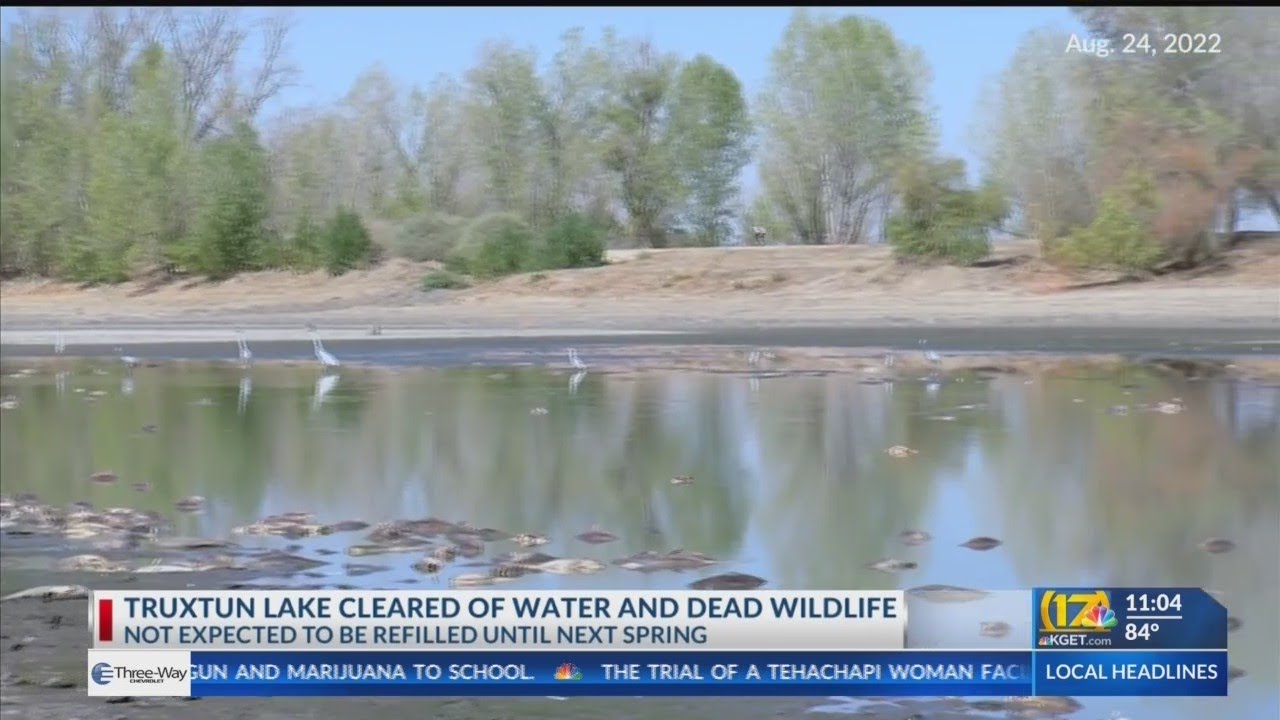 Truxtun Lake cleared of dead fish and water