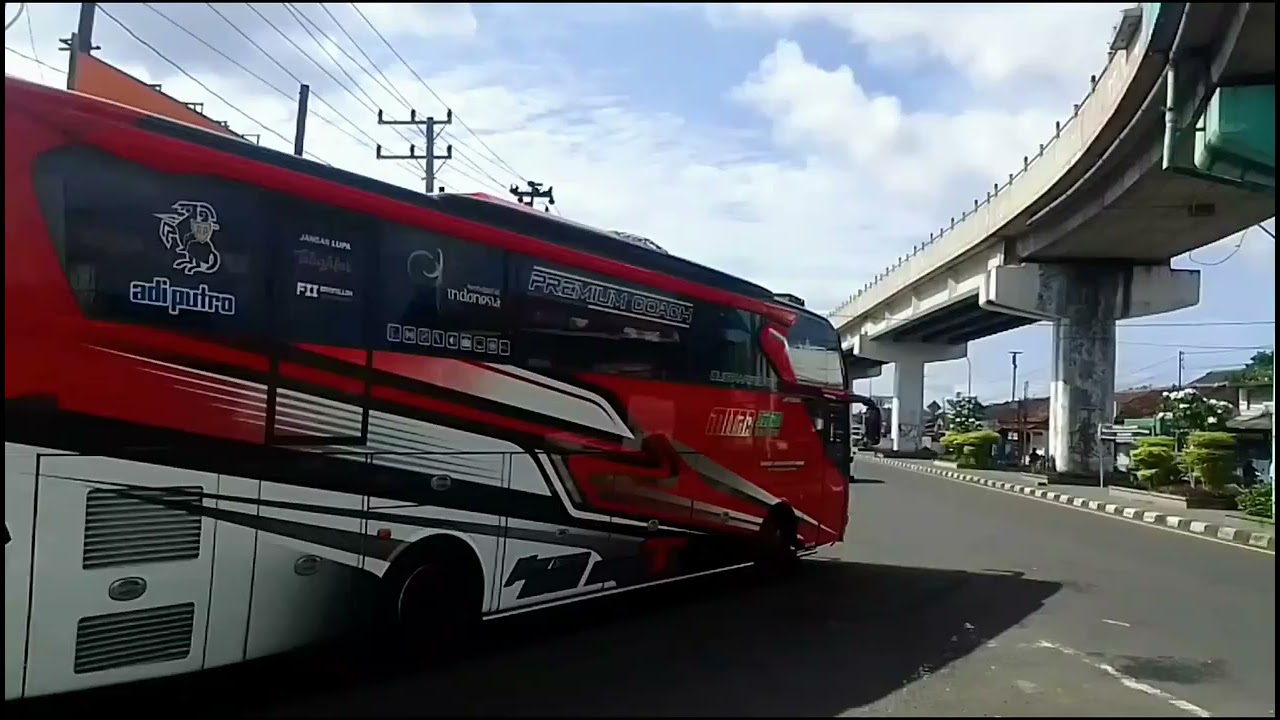 Bus artis semua