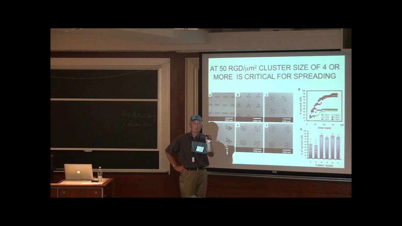 GEM4 2012 @ MIT - Cell Mechanosensing: A Step by Step Process