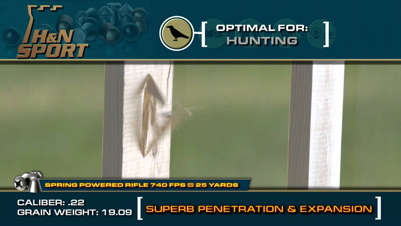 H&N Baracuda Hunter Extreme .22