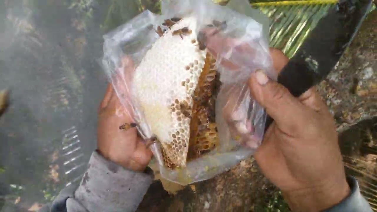 Một ngày vất vả cũng có thành quả khích lệ 