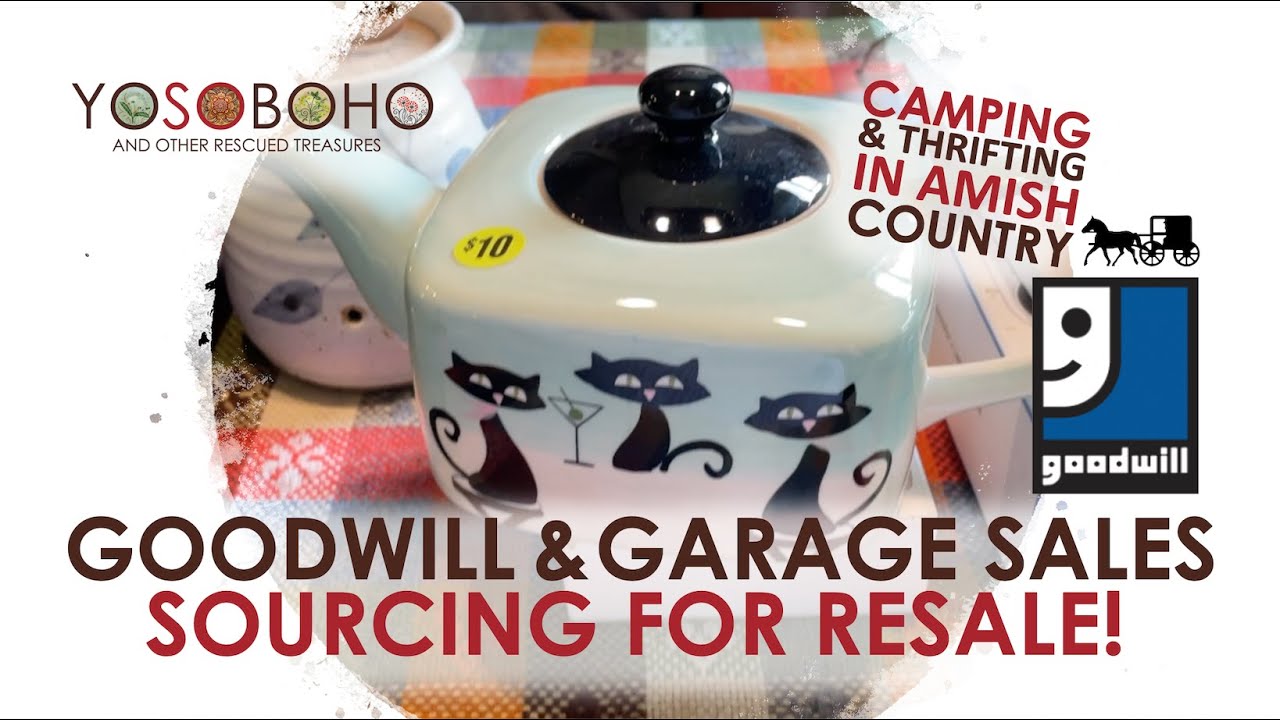 Road Apples? 🍎🐴 GARAGE SALES & GOODWILL THRIFTING IN AMISH COUNTRY!