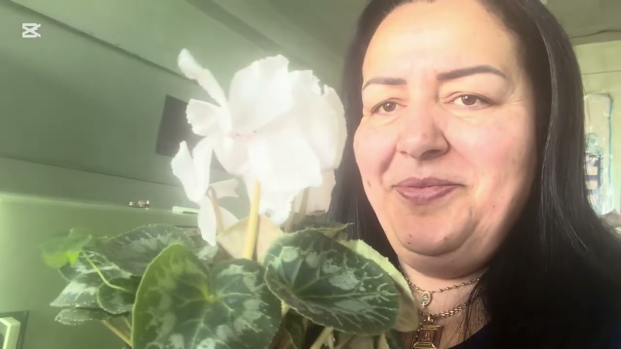 Կիրակնօրյա գործեր՝ վերջում էլ՝ տուն, ինչ նվերներ ենք ստացել, բանջարով #ճաշ