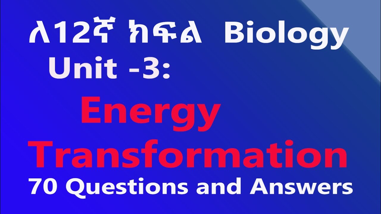 Grade 12 Biology Unit 3: Energy Transformation Questions and Answers | Easy Explanation