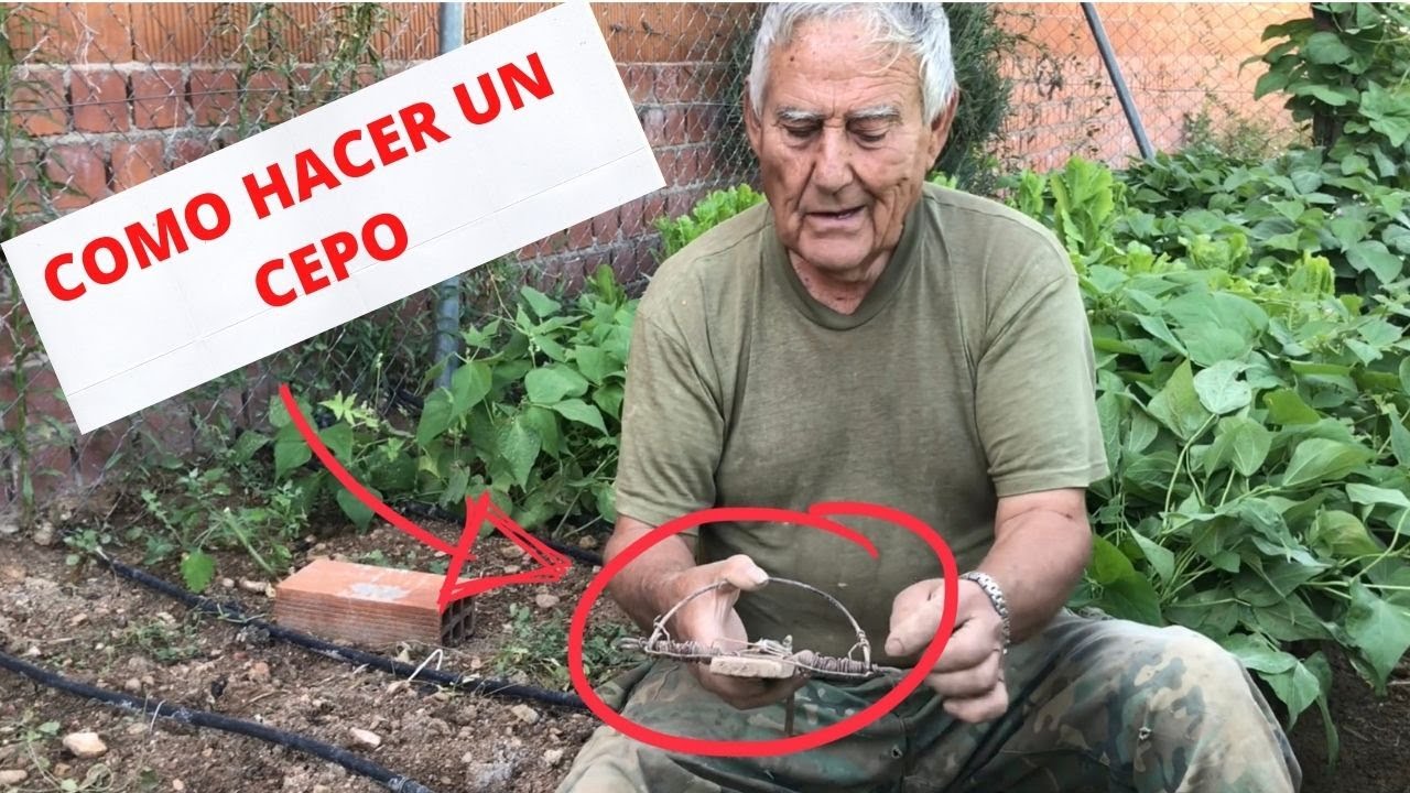 El Huerto del Abuelo - Capítulo 41: Cómo hacer un cepo