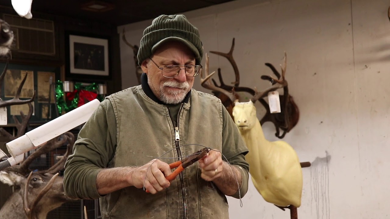 Testa's Tuesday Tips: Making a Bearded Dragon Mannikin