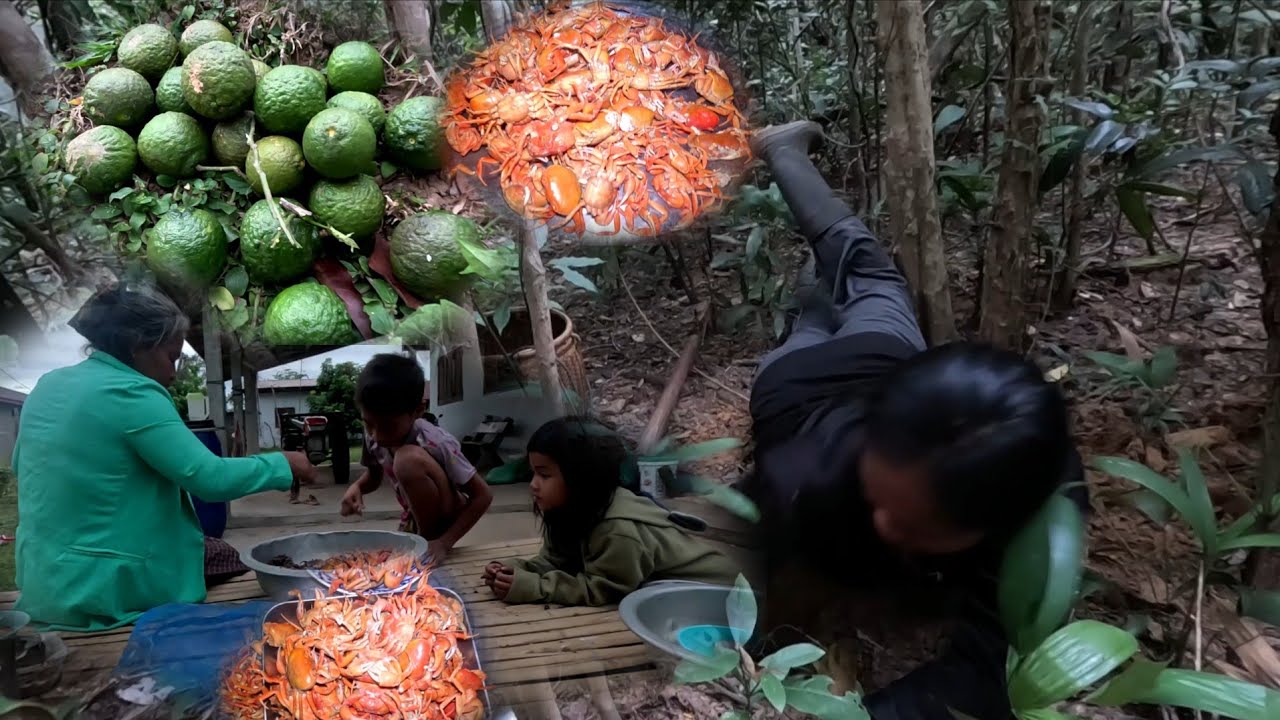 ขุดกะปูแดงให้แม่//ຂຸດກະປູແດງໃຫ້ແມ່