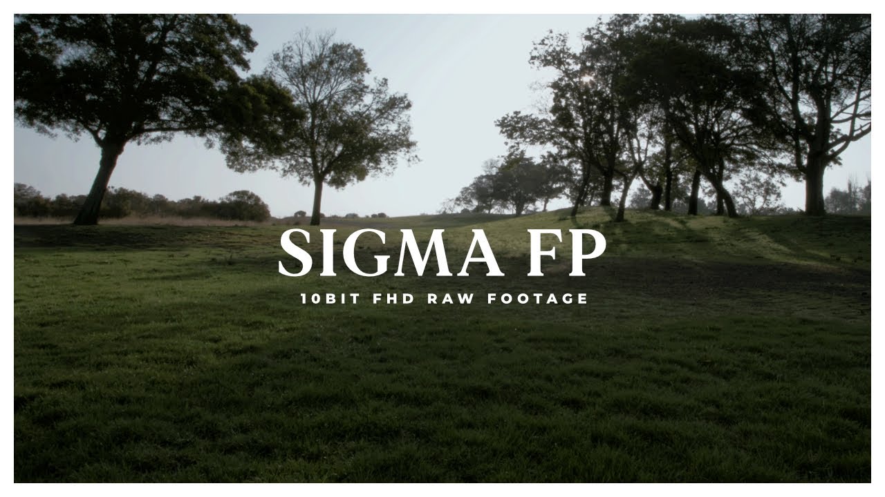 Sigma FP | FHD 10 BIT RAW | 4K SUPERSCALE | Shoreline Lake in Mt. View, CA