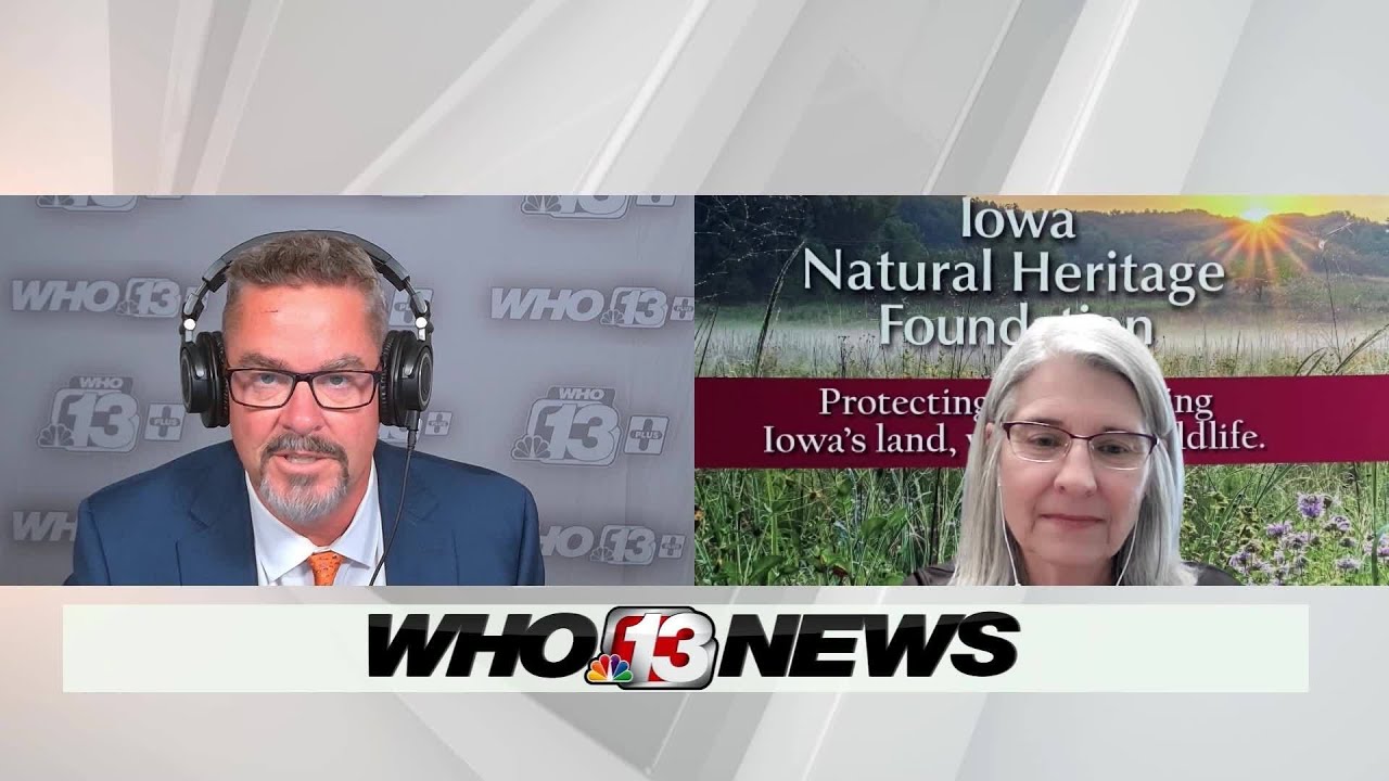 Lisa Hein talks bird migration, feeding, and what you can do for them