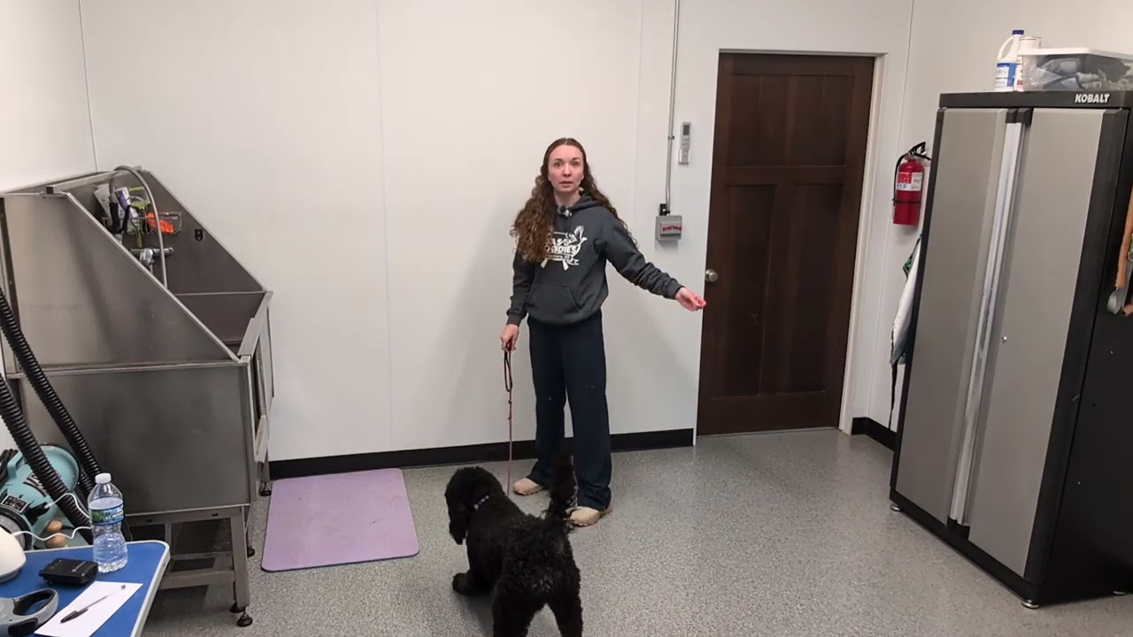 Boldy Week 6