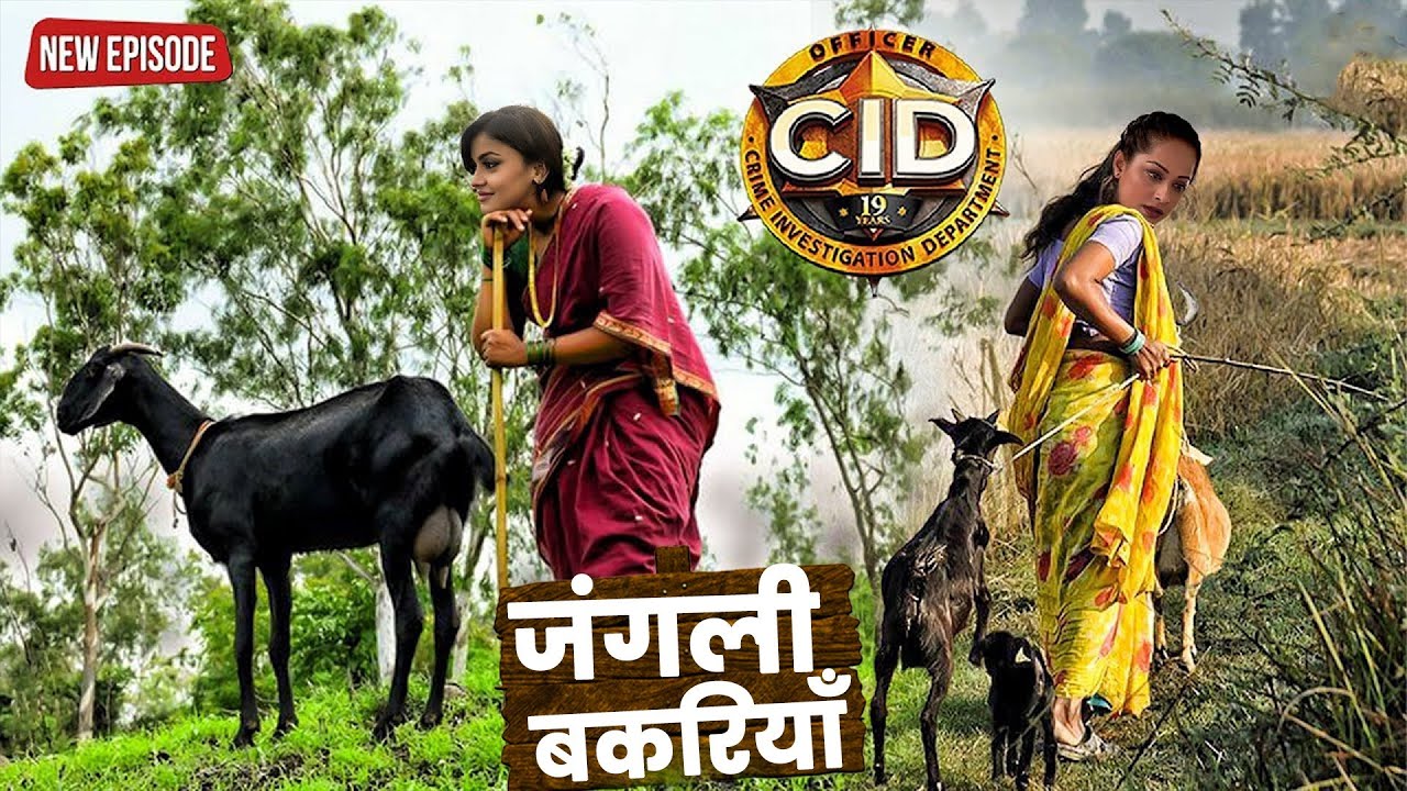 भेष बदलकर CID की TEAM – बकरियाँ चराते-चराते कातिल पर रखी नज़र | CID | Latest New Episode 2026