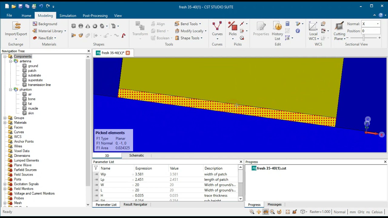 How to create phantom and measure SAR