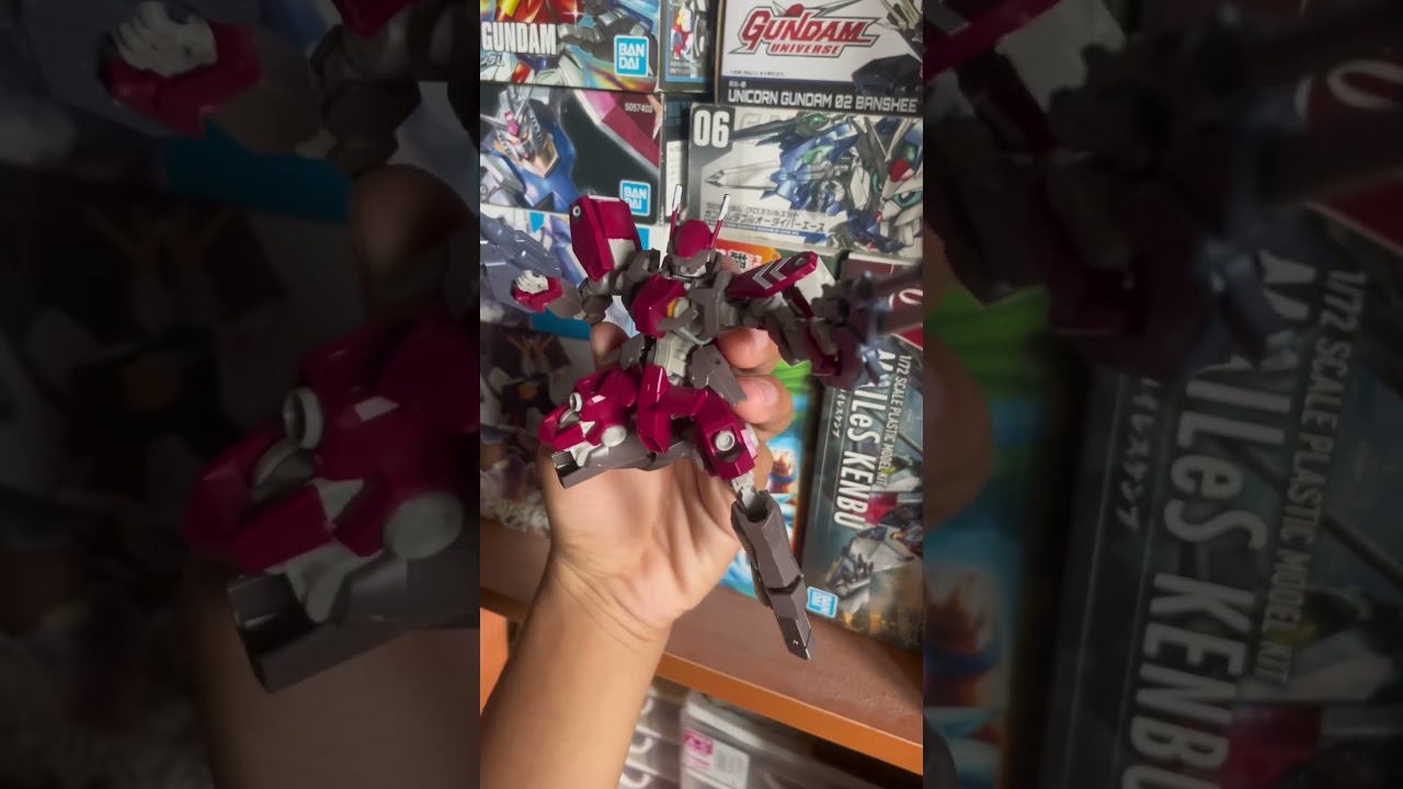 HG cyclase&rsquo;s schwalbe custom
