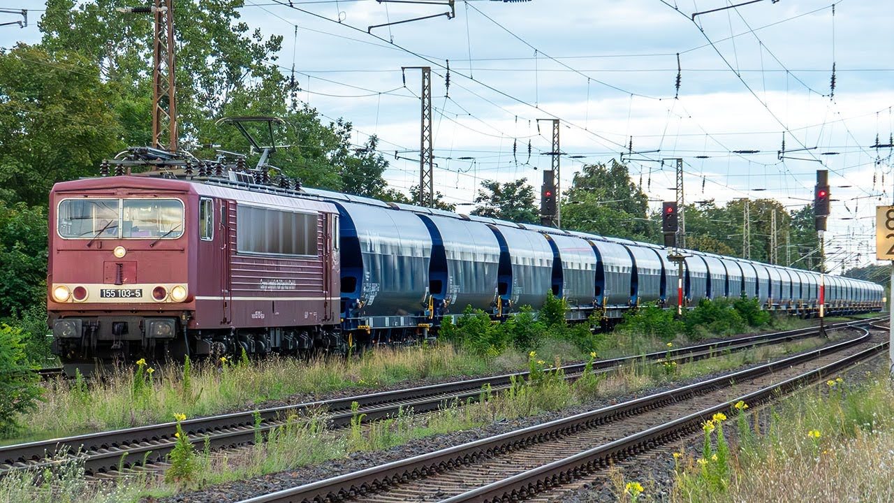 Trainspotting Brandenburg • #CargoLogistikRailService #WedlerFranzLogistik #SJ #Flixtrain #DBCargo