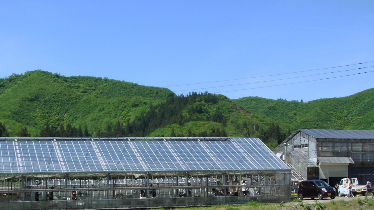 山形県山形市檀野前ライブカメラ Yamagata Yamagatashi Live camera.world.cam