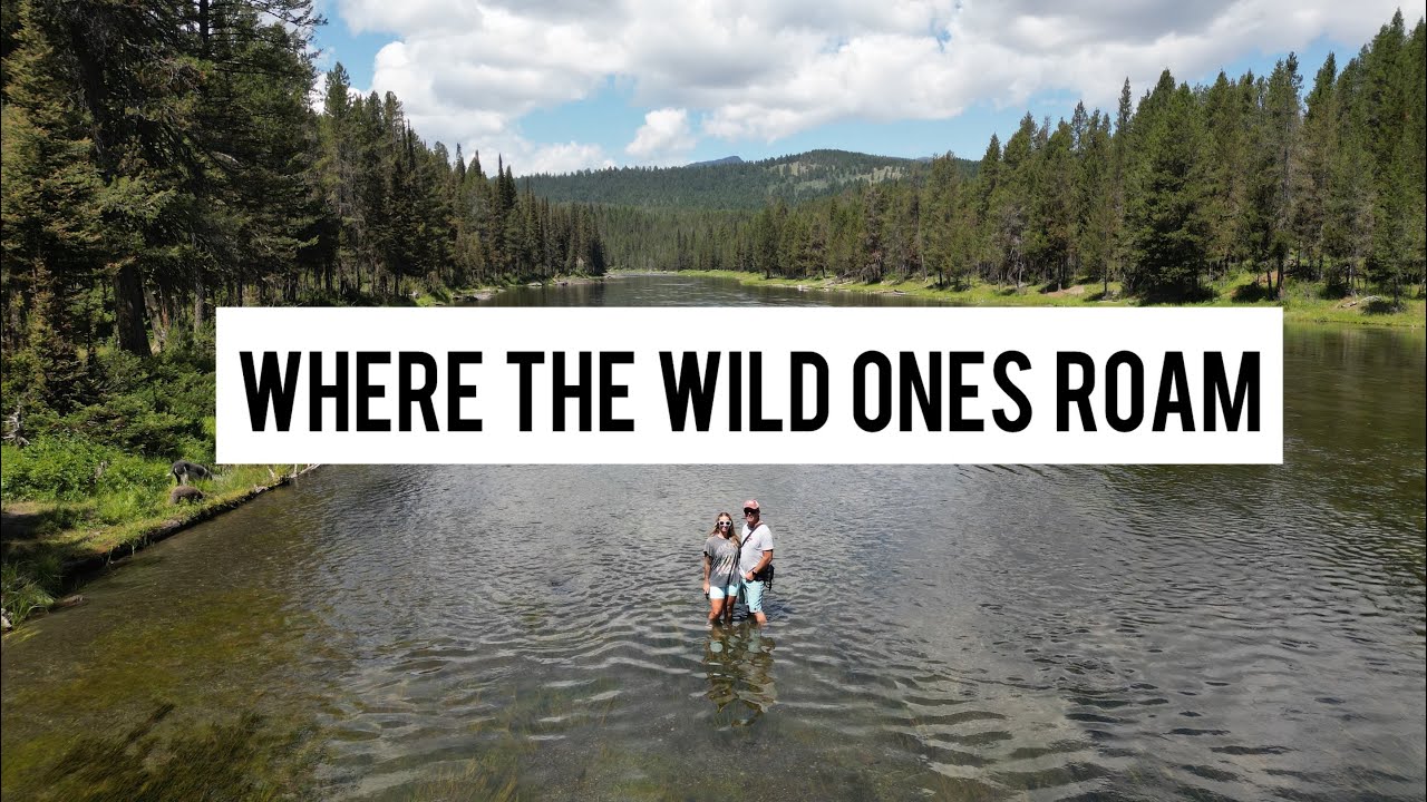 Island Park Idaho, summer corn dogs, Paddle boarding henrys fork river Jayco class c rv with 4 dogs