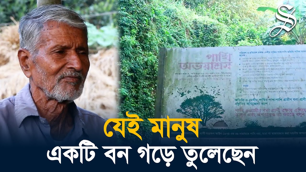 ব্যক্তিগত উদ্যোগে গড়া বন এখন পাখির অভয়ারণ্য